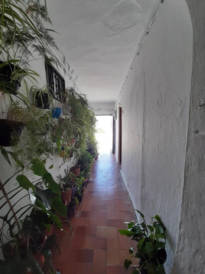La Serenissima Vejer de la Frontera Exterior foto